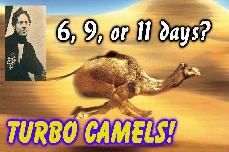 Image of a camel running super fast with the words "6,9 or 11 days? and Turbo Camels" overlayed